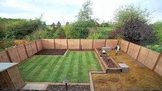 Garden Renovation: Transforming Your Backyard Paradise