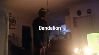 Dandelion (ft. Honey Gentry) [Official Music Video]