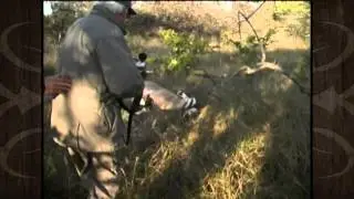 South African Gemsbok and Zebra Hunt - MossBack
