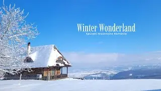 Winter Wonderland in Apuseni, Romania