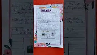 CBSE Class 10 science project on food chain and food web #cbse #class10 #ncert #scienceproject