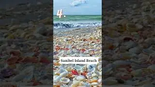 Top 10 Beaches in Florida: Part 2#shorts #floridabeaches #floridalife #TopFLPicks