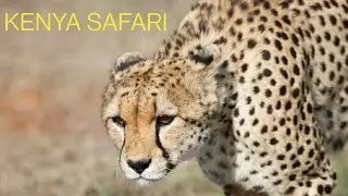 ENCHANTING AFRICA-A documentary by Dr.Mohankrishna.S