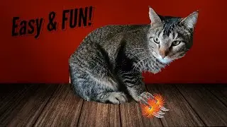 How To Circumvent Anti-Clawing Techniques Used by Hoomans