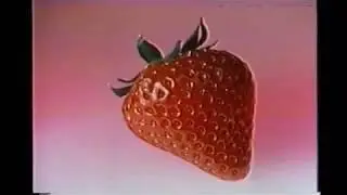 KALI UCHIS x LUIDJI x STEVE LACY type beat 