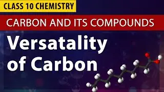 carbon and its compounds | Class 10th Chemistry |CBSE Syllabus |  catenation & Valency carbon |NCERT
