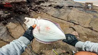 Корвинас с джиг-головкой и большой подошвой на конце. || Fishing for a plaice on rocks.