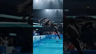 🏇 Horse Pool Jump Showdown! Epic Splash Exit 😲💦