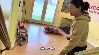 Lola working in training room 