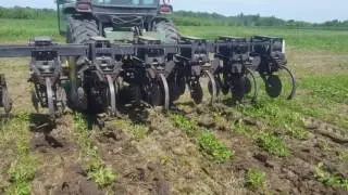 row crop cultivating