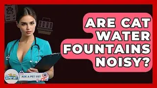 Are Cat Water Fountains Noisy? - Ask A Pet Vet