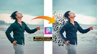 PICSART BIRDS DISPERSION EFFECT PHOTO EDITING | DISPERSION EFFECT IN PICSART | DISPERSION TUTORIAL |