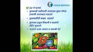 🌸 अधिक फुलकळी आणि दर्जेदार फळधारणा हवी आहे? वापरा O2 &ndash; Focus Biotech 🌱 #focusbiotech #allcrops
