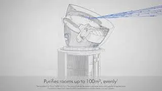 Dyson Big & Quiet | Salons Direct