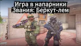 Сыграли игру 8:8 (Звание: Беркут-лем) ПУТЬ ДО ГЛОБАЛА В НАПАРНИКАХ CS2