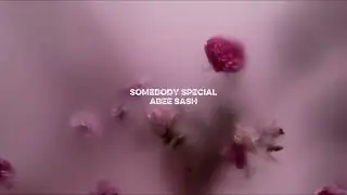 Abee Sash - Somebody Special (Visualizer)