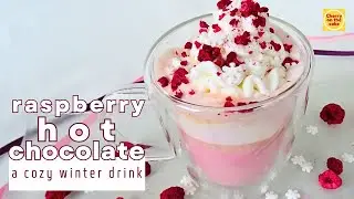 Need a Cozy Winter Drink? Here is a Creamy Raspberry Hot Chocolate for Cold Days/Fast Preparation