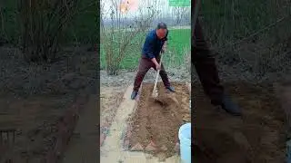 Regular Potato Growing Method &mdash; Fertilize, plant, and cover for faster sprouting!