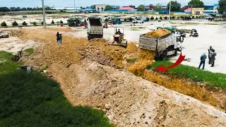 NEW Best Action With Power Bulldozer Komatsu D37p Pushing Land into Sewer and many Truck 5ton