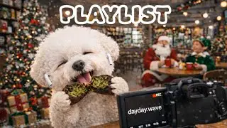 Playlist 🎧 듣기만 해도 설레는 광고없는 크리스마스 캐롤 팝 모음 감성 폭주… 🎄