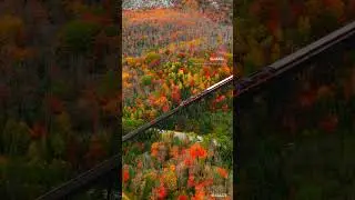 Canada autumn train #canada #autumn