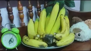 17/1/69 ตามหาหลักกิโลต่อครับ