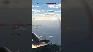 Left wing 