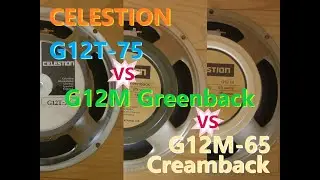 CELESTION(セレッション) 