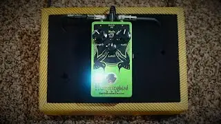 EarthQuaker Devices // Hummingbird Tremolo (Demo)