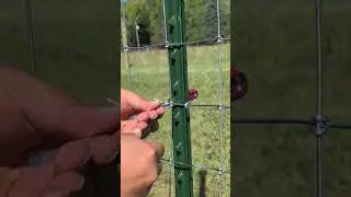 How To Install T Post Clips #farming #fencing #homestead #country