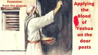 Protection From the Plagues- Applying the Blood of Yeshua on the Doorposts
