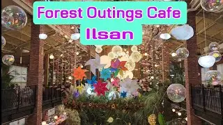 FOREST OUTINGS//Beautiful & Huge CAFE in Ilsan, Goyangsi Korea @jllifestyle