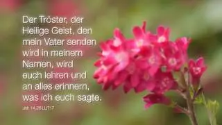 Bibelwort Johannes 14,26