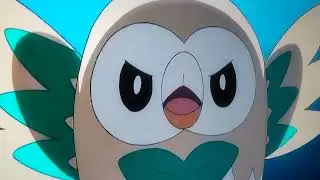 Ash and Rowlet Using Normal Type Z-Move Breakneck Blitz