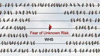 Fear Of The Unknown Risk In WHS | Scary Feeling in OHS |Scary Risk in HSE| Workplace Health & Safety