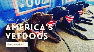 America's VetDogs at Fleet Week