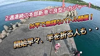 (続)本部新港編　06竿でバトル！今回はeggさんが良型トカジャーゲット～【沖縄釣り】
