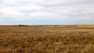 GRAUBERGER CRP LAND AUCTION W/ RESERVE