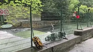 Englischer Garten München