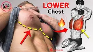 🔥 BEST LOWER CHEST Exercises ( Very effective )