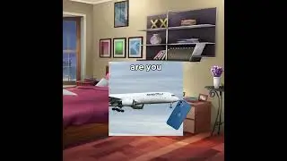 air berlin is drunk until it ceased operations #jetliners #memes #airbusa400m #crewlife #jetflix