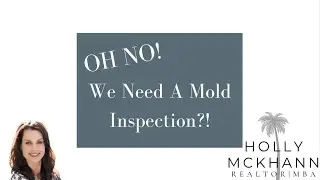 Mold inspection?? What to expect?