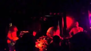 No Joy- Hare Tarot Lies