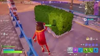 Fortnite_20260117142112