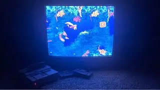 DKC3 Water World in 1996