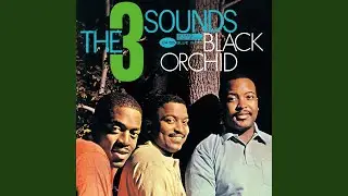 Black Orchid