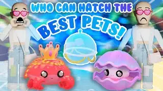 Who can HATCH THE BEST OCEAN PETS in Overlook Bay | Roblox