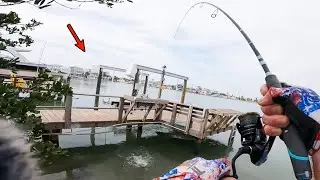 Sight Fishing GIANTS under these DOCKS!