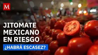 Productores de jitomate mexicano en riesgo tras el arancel de 17% al producto
