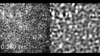 Single-molecule tracking in eukaryotic cell nuclei